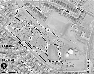 mountain view sat.JPG