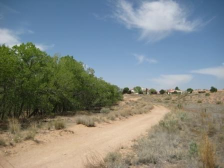 Bosque Trail 2.jpg